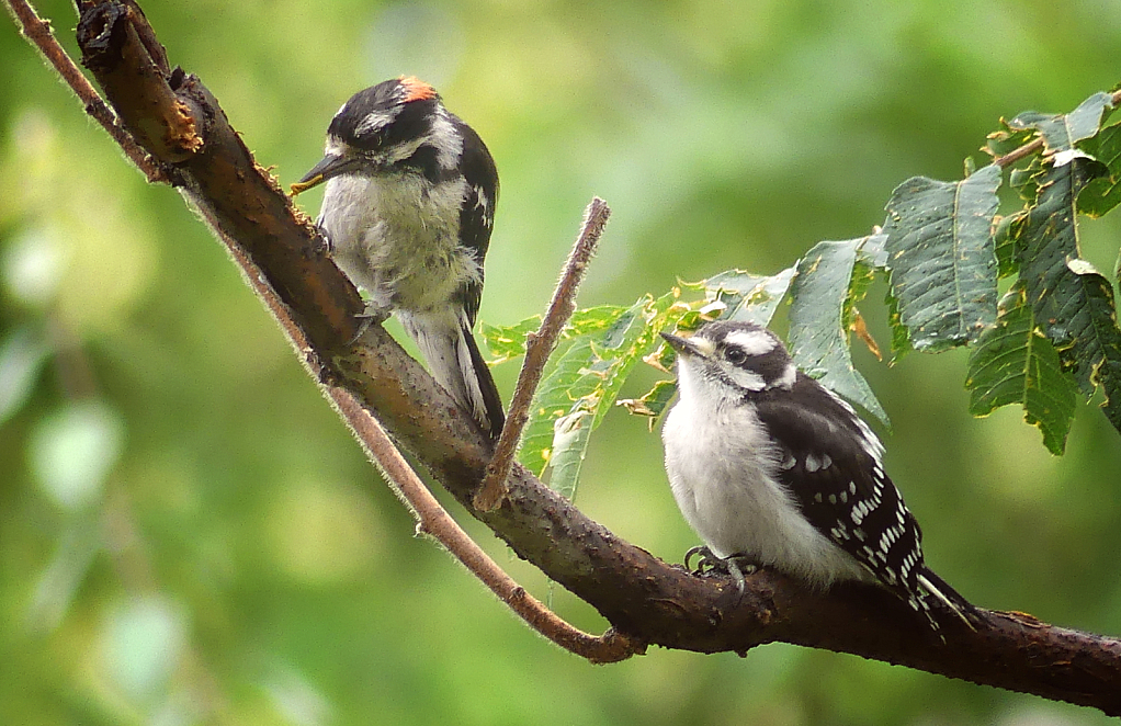 Mama and Little One