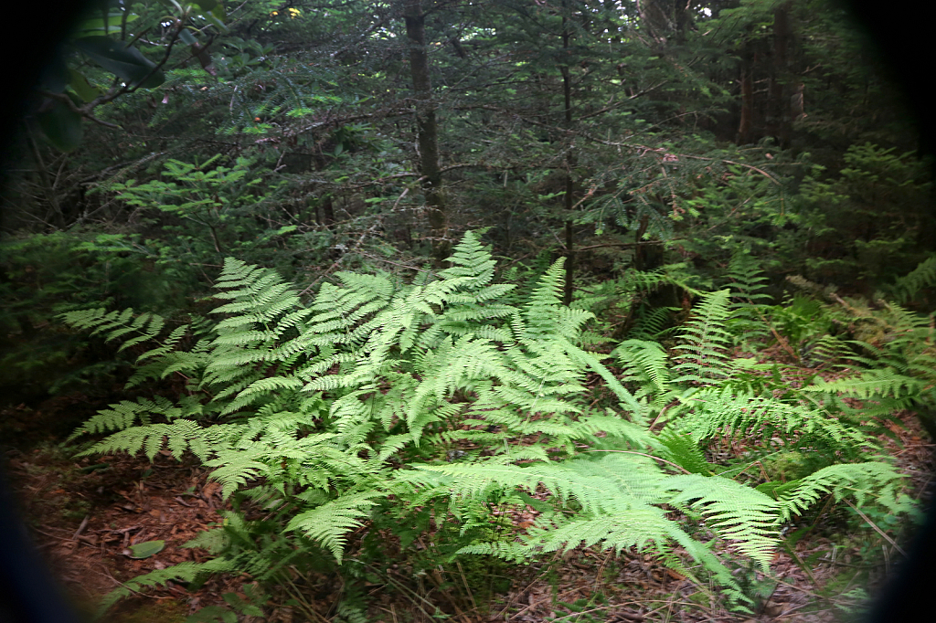 img20