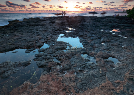 Sunset Surf