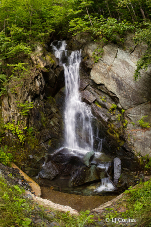 roadside falls