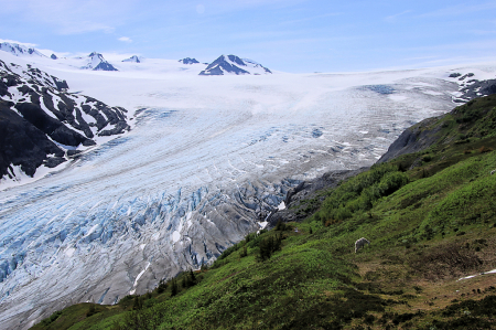 Harding Icefield 