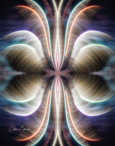July 2023 Photo Contest 2nd Place Prize Winner
