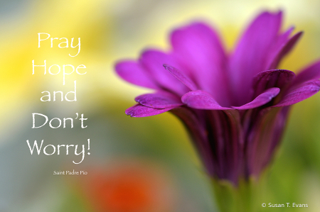 Pray, Hope and Don't Worry!