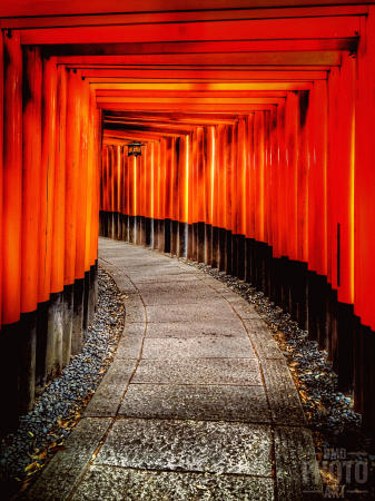 ~ ~ WALKING THRU FUSHIMI INARI ~ ~ 