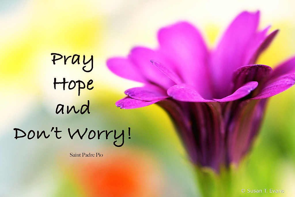 Pray, Hope and Don't Worry!