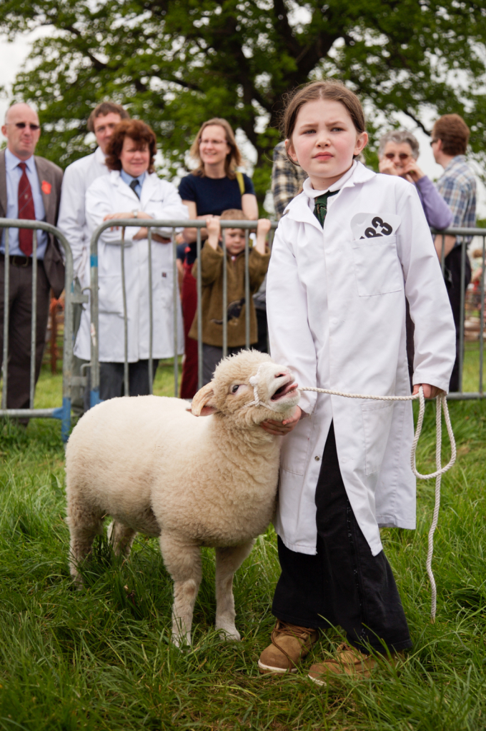 North Somerset Show