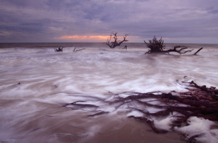 Milky Shore