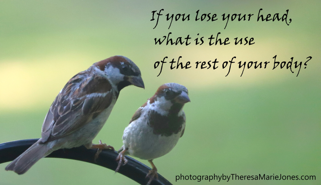 If you lose....