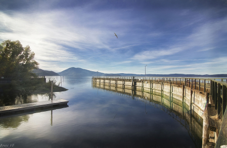 Lucerne Peer