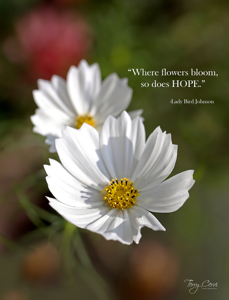 HOPE