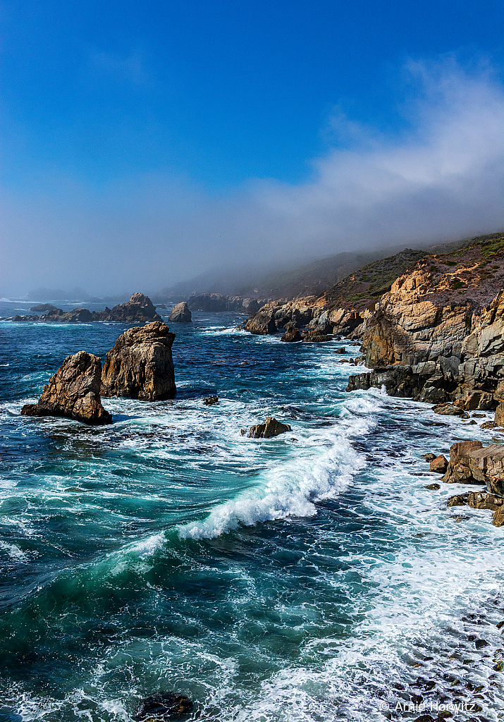 Clearing Coastal Fog - II
