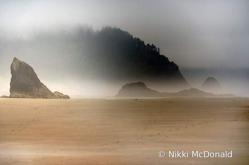 Rain and Mist at Hug Point