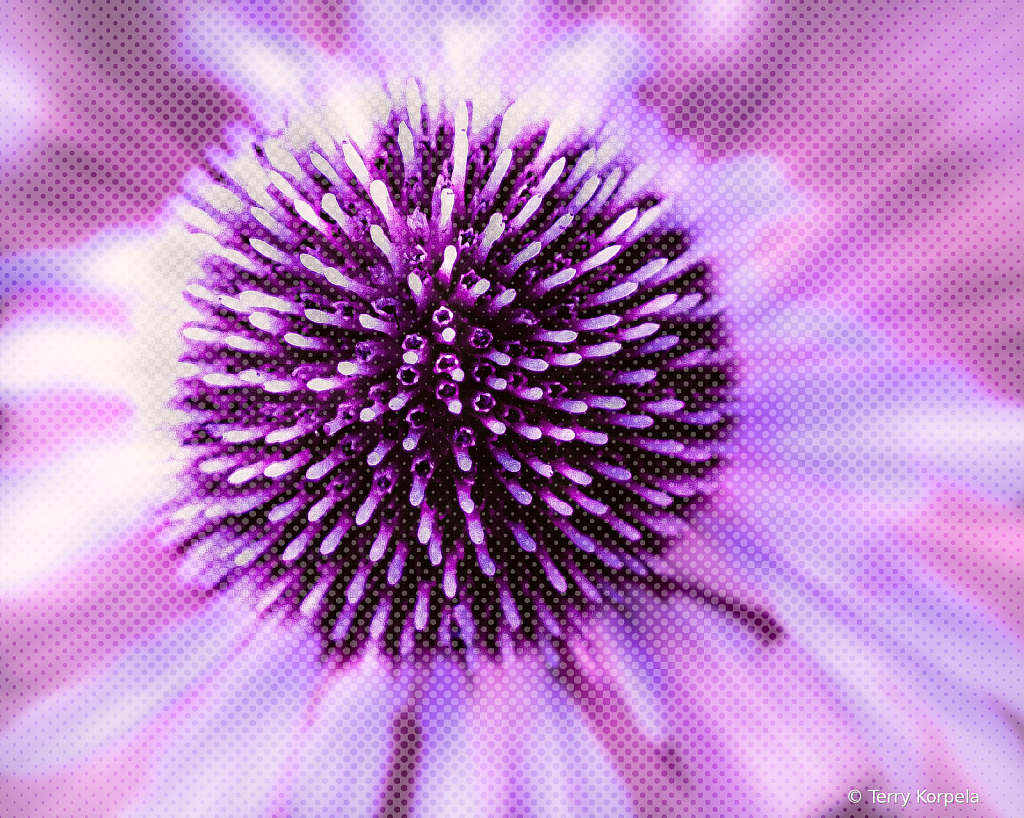 Infrared Cone Flower Abstract - ID: 16076933 © Terry Korpela