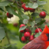 © Theresa Marie Jones PhotoID # 16076949: How Your.....