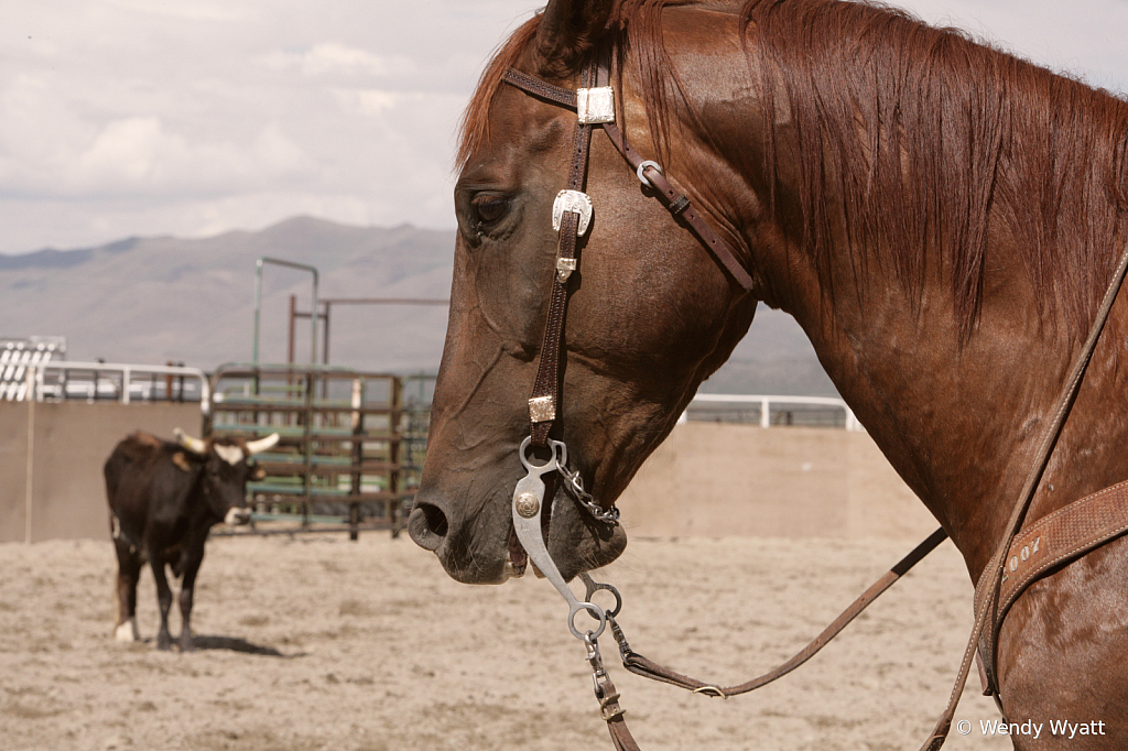 Ranch Hand