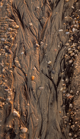 Sand Art by Mother Nature