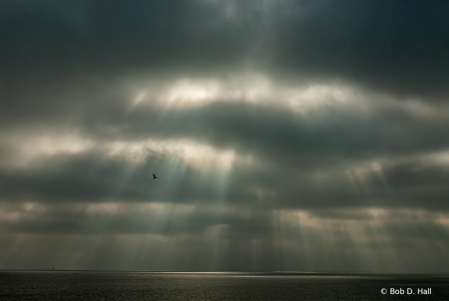 Storm On The Bay