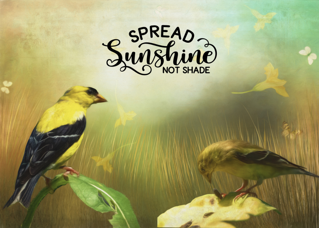 Spread Sunshine