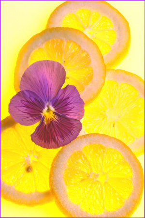 Lemon With Pansy