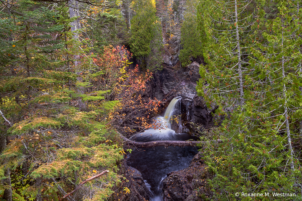 Cascade river thru the trees - ID: 16078291 © Roxanne M. Westman