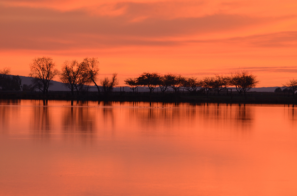 Lake Oroville Sunset