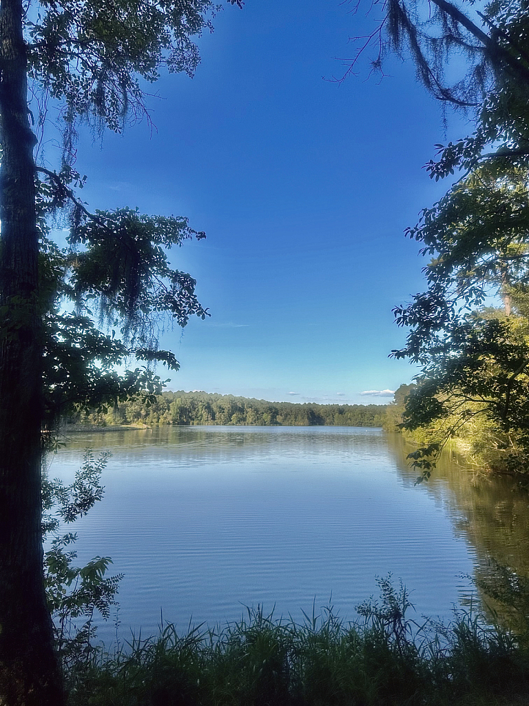 Lakeside view - ID: 16079003 © Elizabeth A. Marker