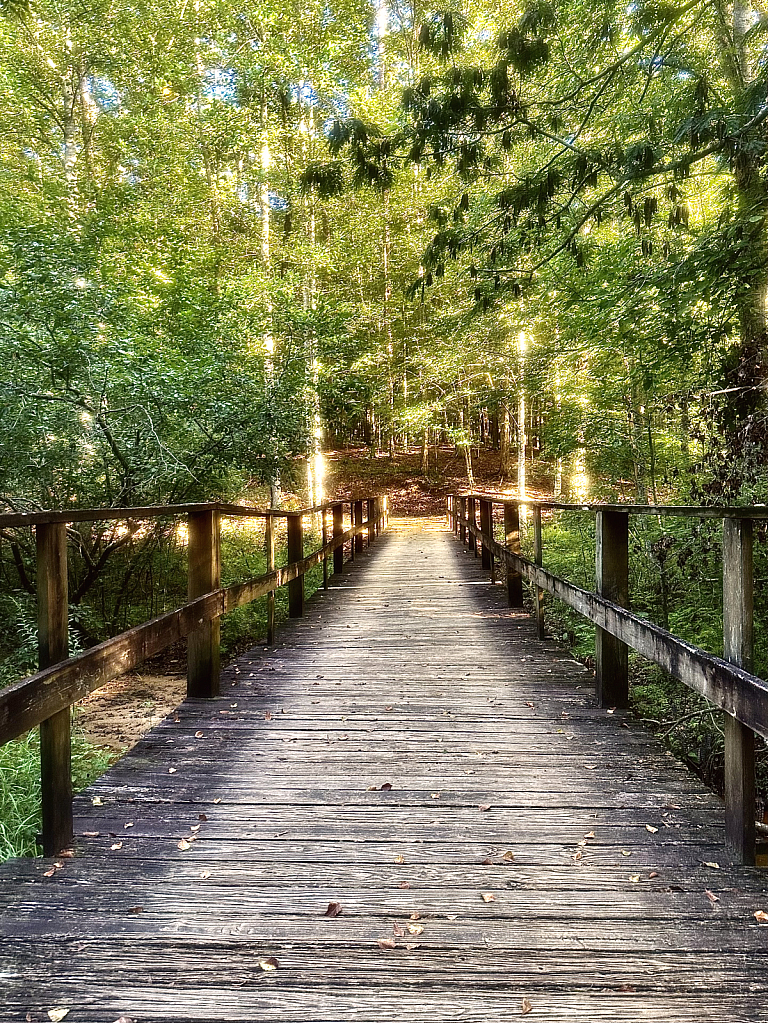 Sunny Bridge - ID: 16078899 © Elizabeth A. Marker
