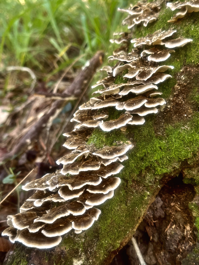 Layers - ID: 16078902 © Elizabeth A. Marker