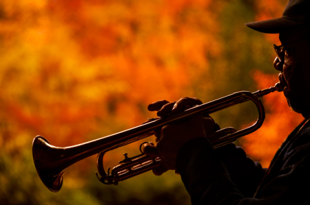 Trumpeter in Central Park