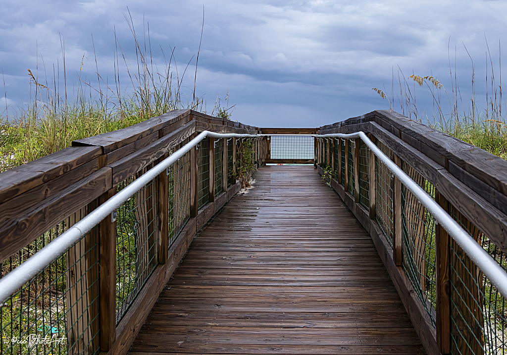 Dog Beach Boardwalk - ID: 16079253 © Candice C. Calhoun