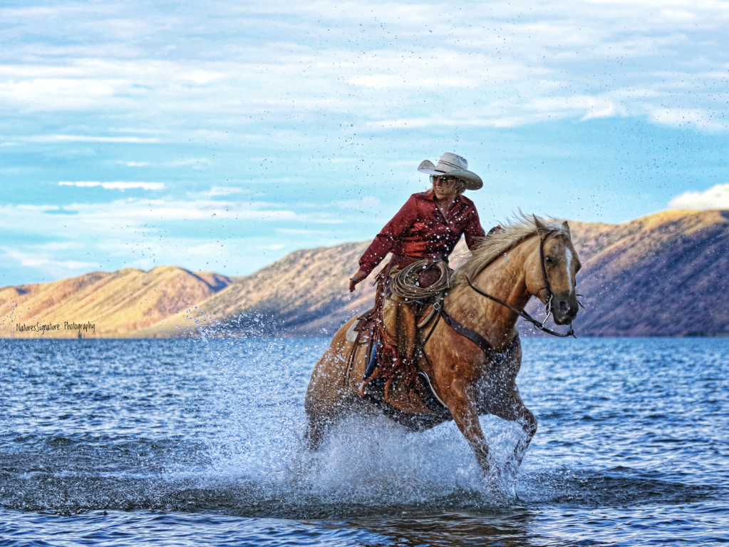 ~ A Cowgirl's Life ~