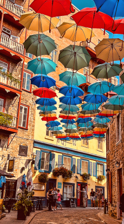 Street of umbrellas