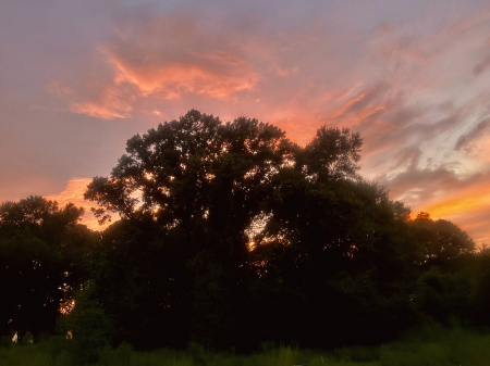 Colorful sky