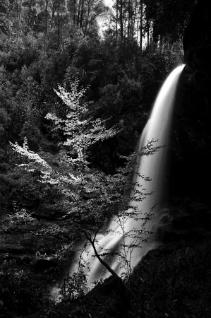Element of Light #4