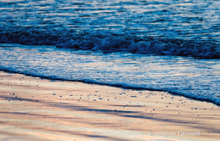 "Shore Subject"