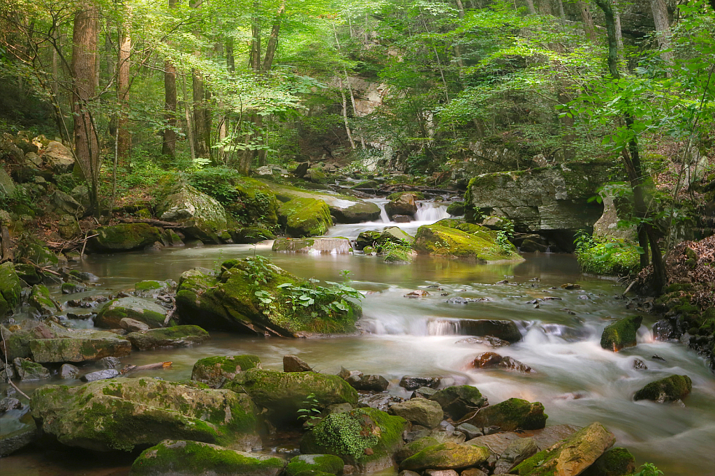 Hiking North Carolina 