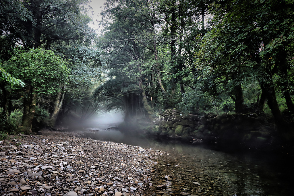 Fog on Water