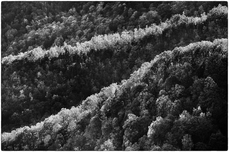 Appalachian Ridges in Black and White