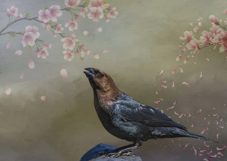 Cowbird With Flowers