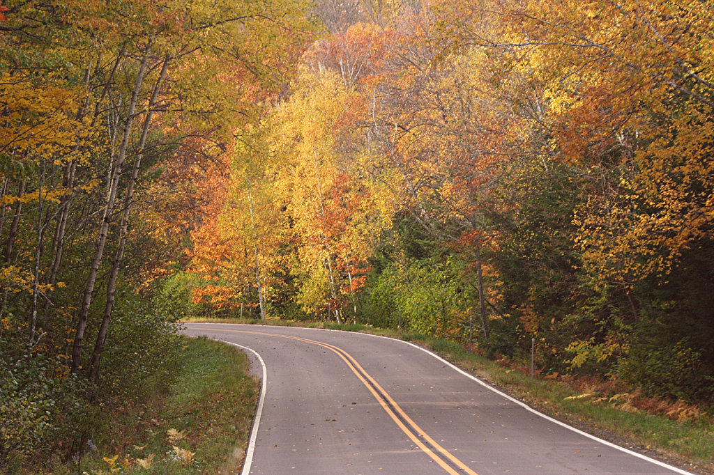 driving into autumn