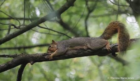 Branching Out