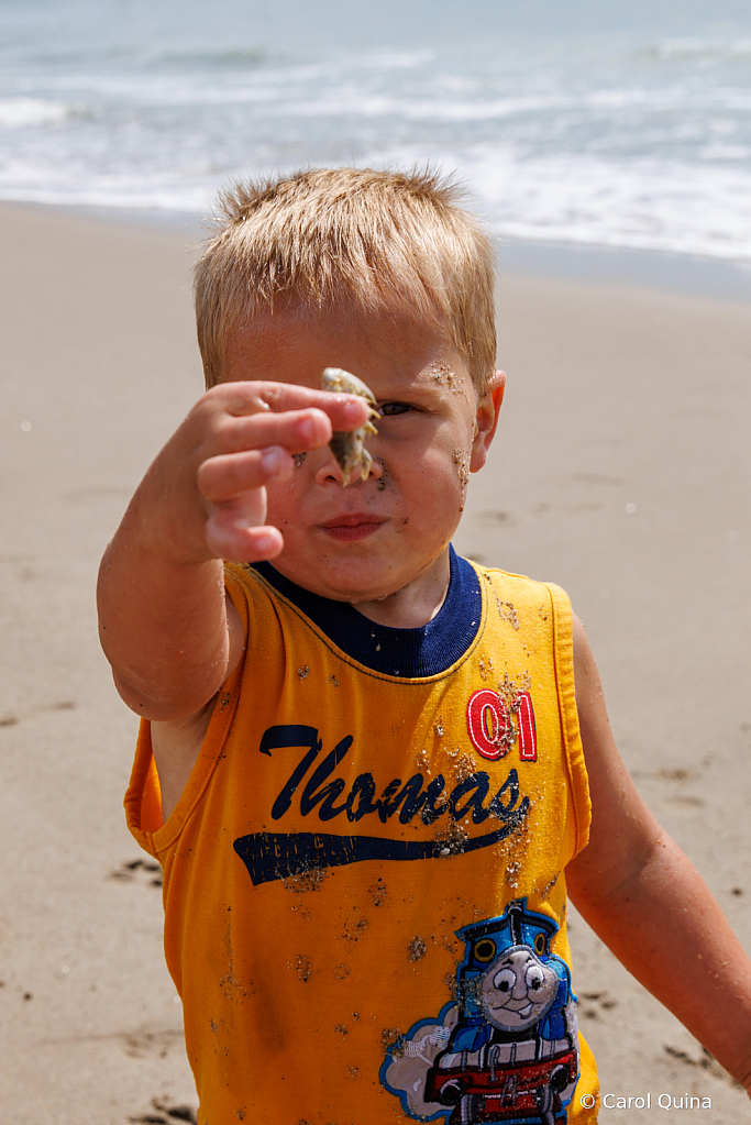 Sand Crabbing