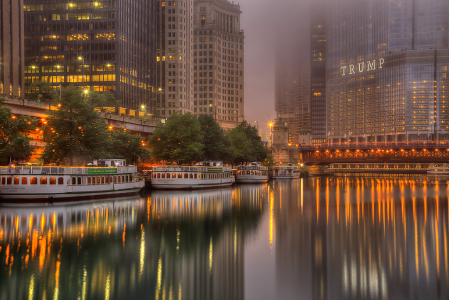 Foggy Chicago