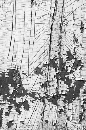 Peeling Paint, Aaron Siskind, Jerome,1949