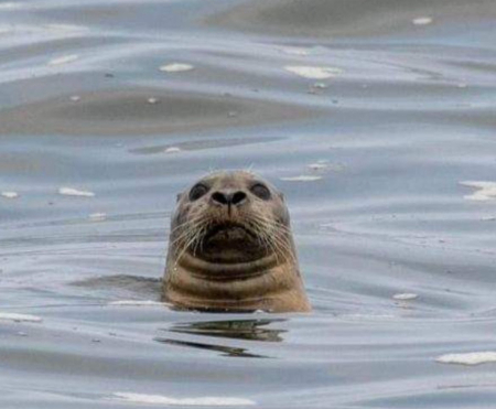Hi there 