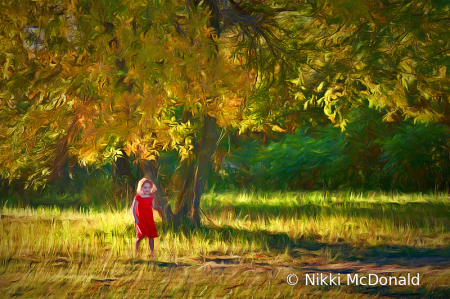 Autumn Impressions