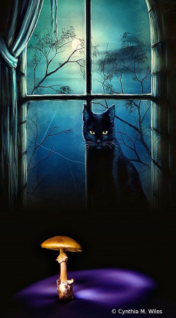 This Is Halloween 