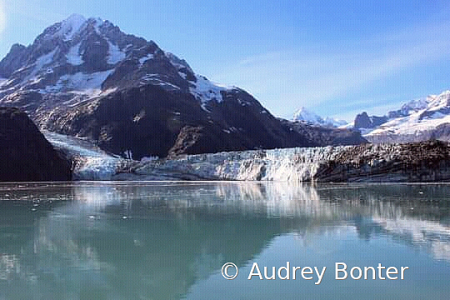 Magnificent Glacier Bay