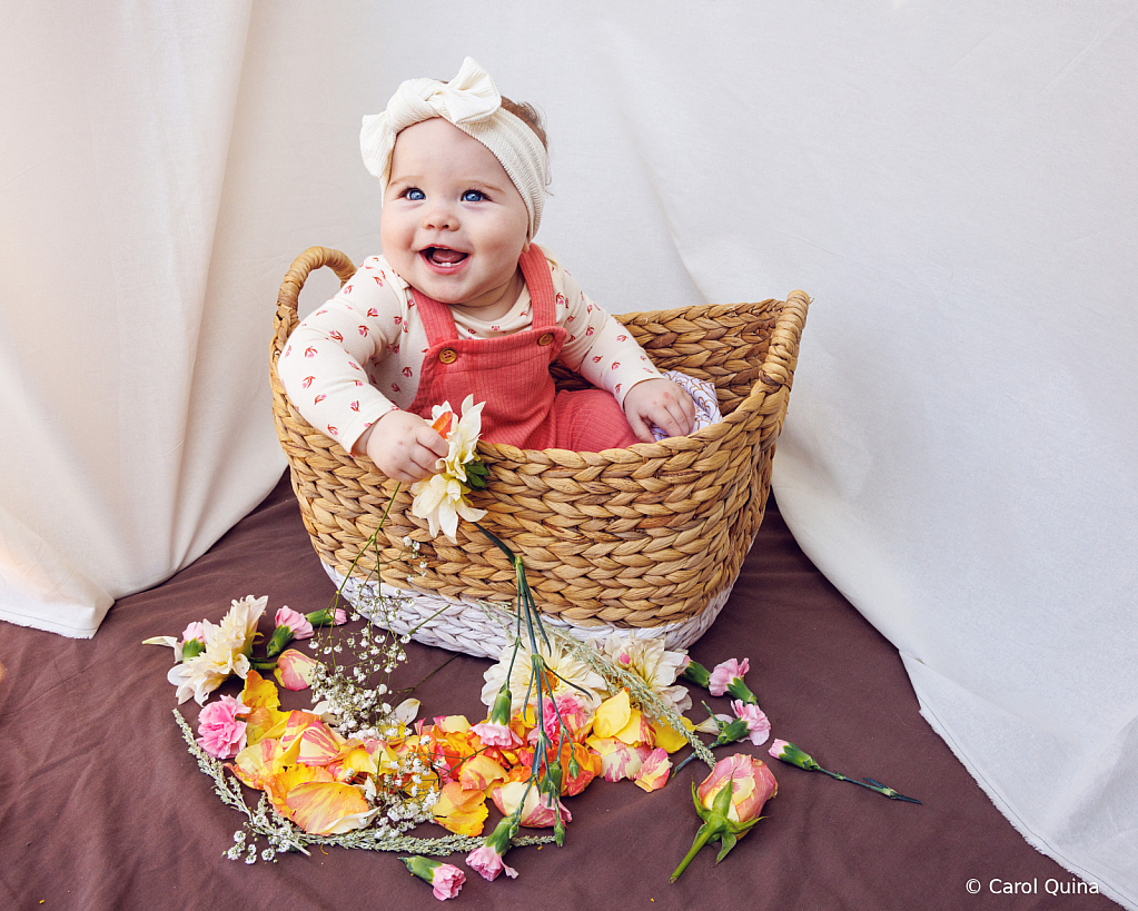 Sunshine in a Basket