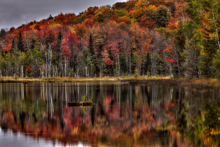 Council Lake Reflections